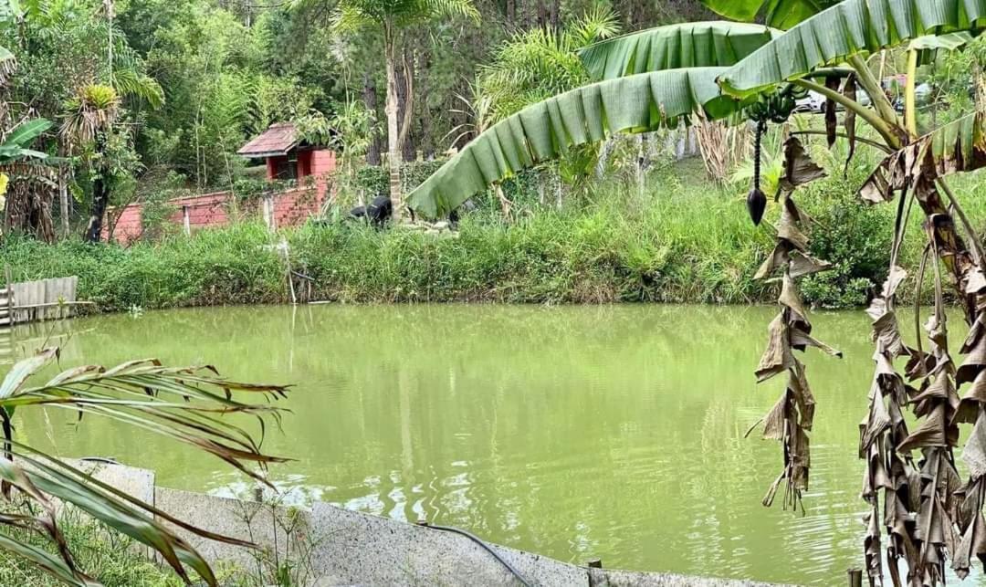 Chacara Recanto Dos Passaros Bairro das Rosas Dış mekan fotoğraf